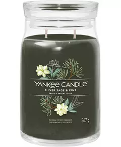 Yankee Candle Silver Sage & Pine Großer Krug 567g