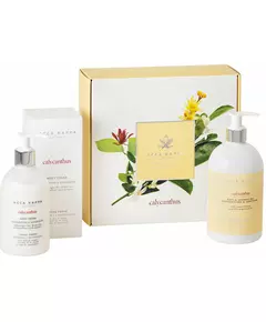 Acca Kappa Calycanthus Set: Duschgel 500ml + Körperlotion 300ml