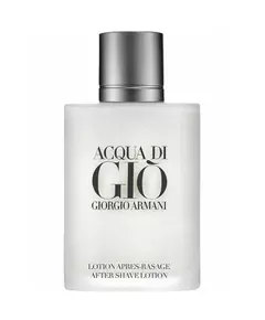 Giorgio Armani Acqua di Gio 100 ml