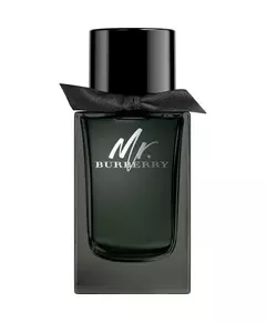 Burberry Mr. Eau de Parfum 100ml