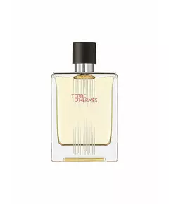 Hermes Terre d'Hermes Flacon H Limited Edition Eau de Toilette Pour hommes, 100 ml