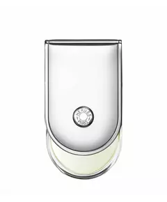 Hermes Voyage d'Hermes Eau de Toilette Unisex Nachfüllbar, 100 ml
