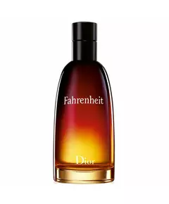 Christian Dior Fahrenheit Eau de Toilette Pour hommes, 100 ml