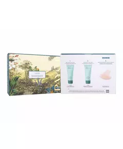 Set Payot: Lisse Resurfacing Night Cream For Face 30 ml + Lisse Wrinkle Smoothing Cream For Face 30 ml + Mini Gua Sha Light Pink Lifting Face Massage Stone, 30 ml