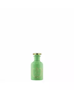 Gucci The Alchemist's Garden - A Forgotten Rose Parfümöl Für Frauen, 20 ml