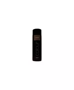 Subrina Professional Direct Colour Ohne Oxidationsmittel und ammoniakfrei Haarfärbegel Für Direktfärbung Silver, 200 ml