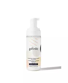 Gallinee Microbiome Skincare Prébiotiques et Postbiotiques Purification Crème moussante nettoyante, 150 ml