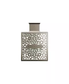 Rayhaan Terra Eau de Parfum Für Männer, 100 ml