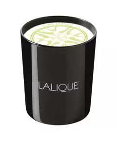 Lalique Osmanthus Himalaya Nepal Duftblüte Duftkerze, 190 g