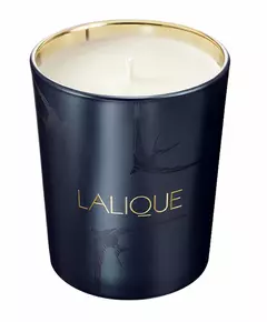 Lalique La Nuit Nairobi Kenya Pflaume Duftkerze, 190 g