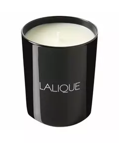 Lalique Figuier Amalfi Italie Duftkerze, 600 g