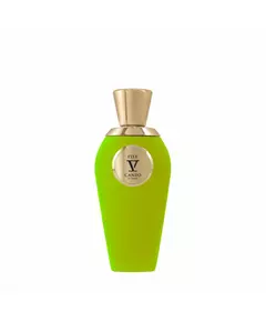 V Canto P.D.F. Parfumextrakt Unisex, 100 ml