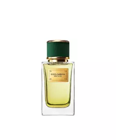 Dolce & Gabbana Velvet Vetiver Eau de Parfum Unisex, 100 ml