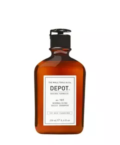 Depot 100 Hair Cleansing No. 101 Botanischer Komplex Haarshampoo Normalisierung, 250 ml