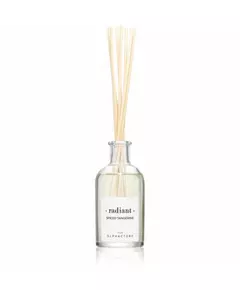 The Olphactory Radiant Spiced Tangerine Bâtonnets parfumés Diffuseur de parfum à roseaux, 100 ml