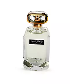 Israel Philip Montpellier Parfum Pour hommes, 100 ml