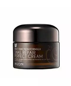 Mizon Schnecke Repair Perfect Creme 50ml 