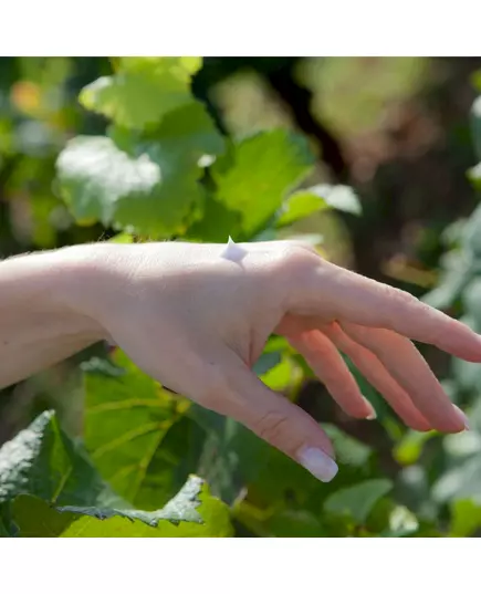 Vinesime Le Clos Chardonnay crème pour les mains 50ml, image 3