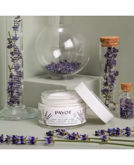 Payot Herbier Crème Universelle 50 ml, image 4