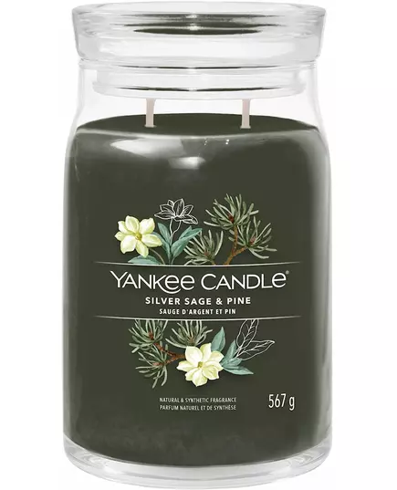 Yankee Candle Silver Sage & Pine Großer Krug 567g