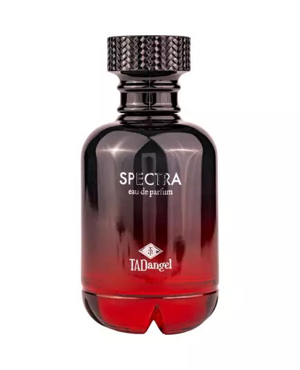 Tad Angel Spectra Homme Eau de Parfum 100 ml
