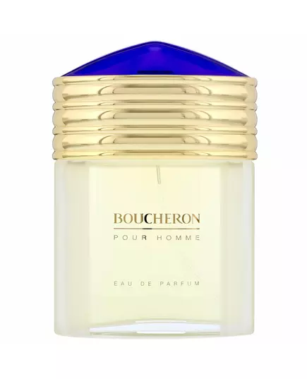 Boucheron Boucheron Eau de Toilette Für Männer, 100 ml