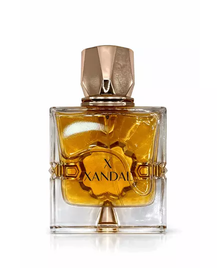 Fragrance World Aromatix X Xandal Extrait de parfum Unisexe, 100 ml