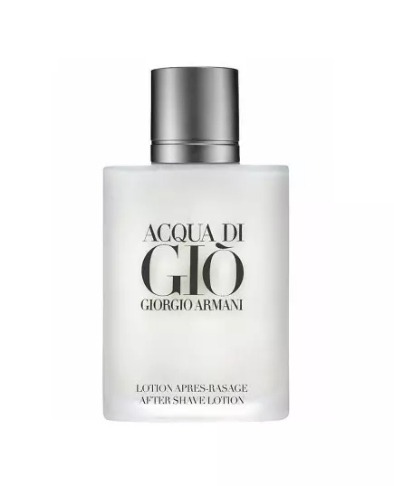 Giorgio Armani Acqua di Gio 100 ml
