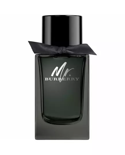 Burberry Mr. Burberry Eau de Parfum Pour hommes, 100 ml