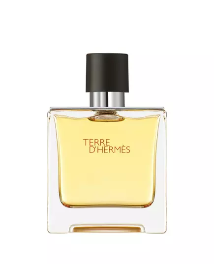 Hermes Terre d'Hermes Eau de Parfum, 75 ml