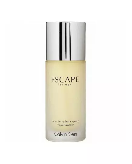 Calvin Klein Escape pour Homme Eau de Toilette 100 ml