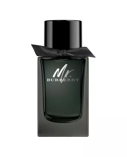 Burberry Mr. Eau de Parfum 100ml