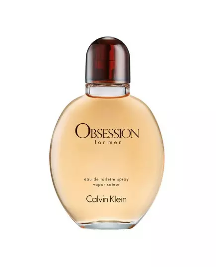 Calvin Klein Obsession pour Homme Eau de Toilette 75 ml