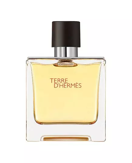 Hermes Terre d'Hermes Eau de Parfum 75 ml