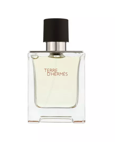 Hermes Terre d'Hermes Eau de Toilette 100 ml