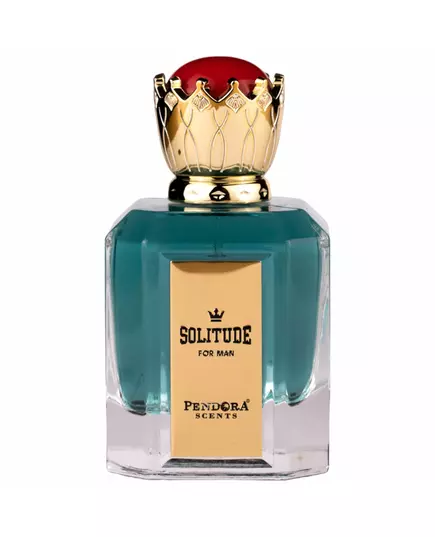 Pendora Scents Solitude pour Homme Eau de Parfum 100 ml