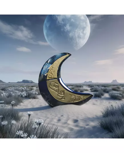 Paris Corner Mehwish Eau de Parfum 100 ml