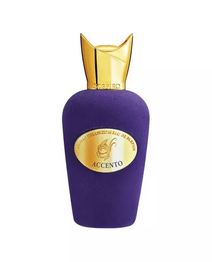 Xerjoff Accento Eau de Parfum 100 ml