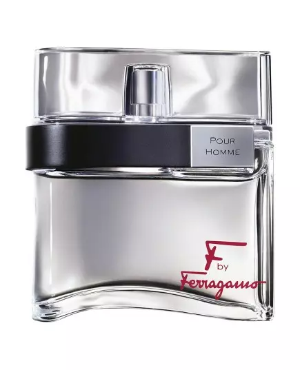 Salvatore Ferragamo F by Ferragamo Pour Homme Eau de Toilette 100 ml