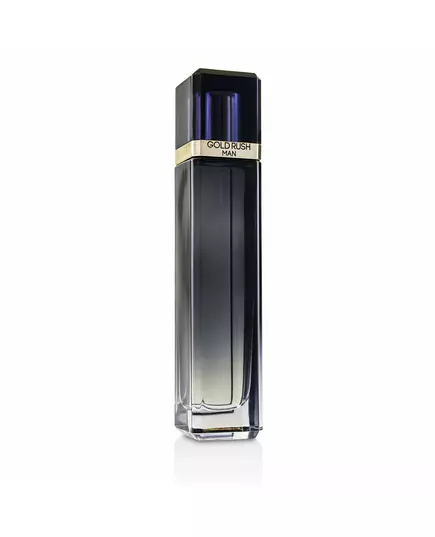 Paris Hilton Gold Rush Eau de Toilette Pour hommes, 100 ml