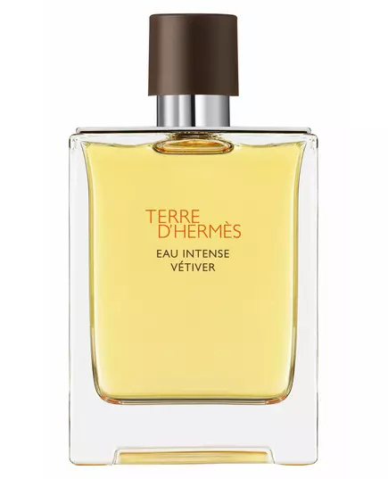 Hermes Terre d`Hermes Intense Vetiver Eau de Parfum Pour hommes, 200 ml