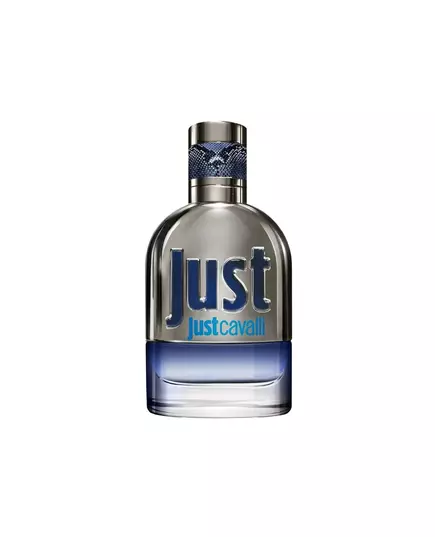 Roberto Cavalli Just Cavalli Eau de Toilette Für Männer, 30 ml