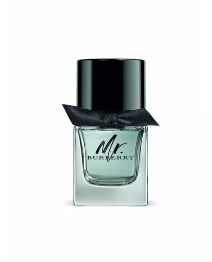 Burberry Mr. Burberry Eau de Toilette Pour hommes, 50 ml