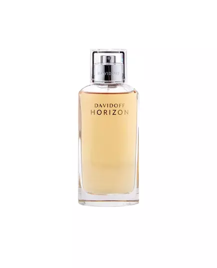 Davidoff Horizon Eau de Toilette Pour hommes, 125 ml