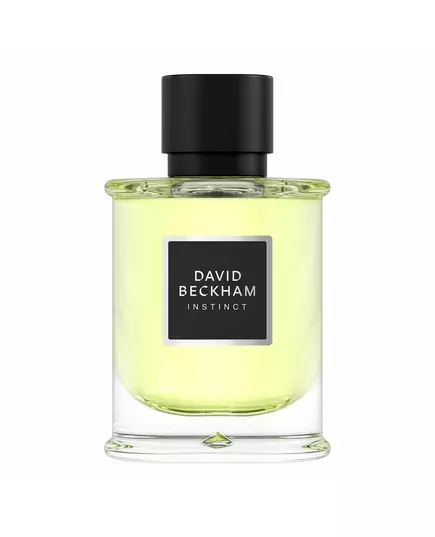 David Beckham Instinct Eau de Parfum Pour hommes, 75 ml