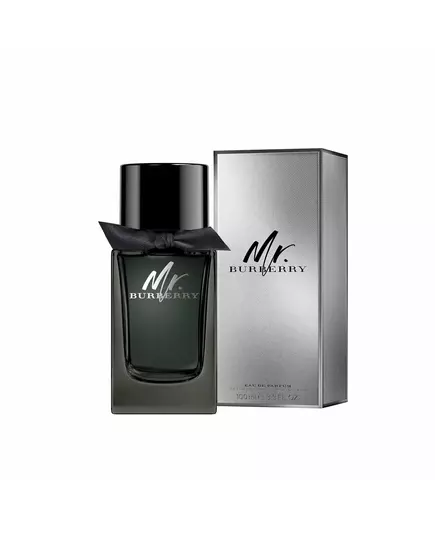 Burberry Mr. Burberry Eau de Parfum Pour hommes, 100 ml, image 2