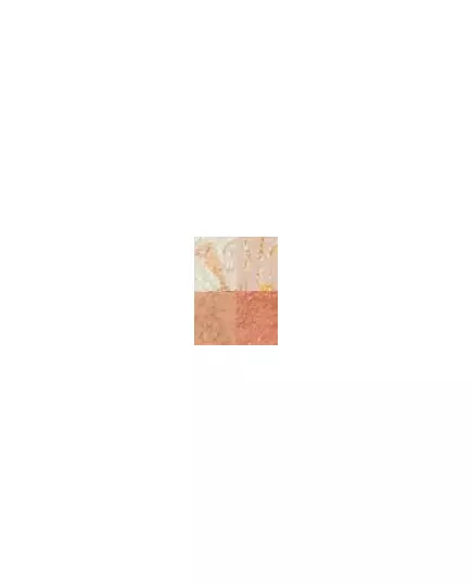 Makeup Revolution Cheek Kit Palette de contouring Prenez une pause 4 nuances, 8,8 g, image 2