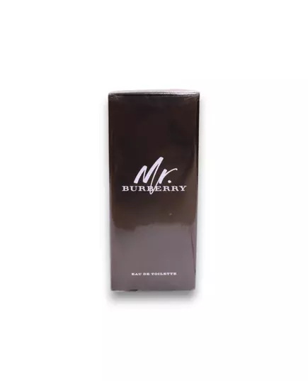 Burberry Mr. Burberry Eau de Toilette Pour hommes, 100 ml, image 2