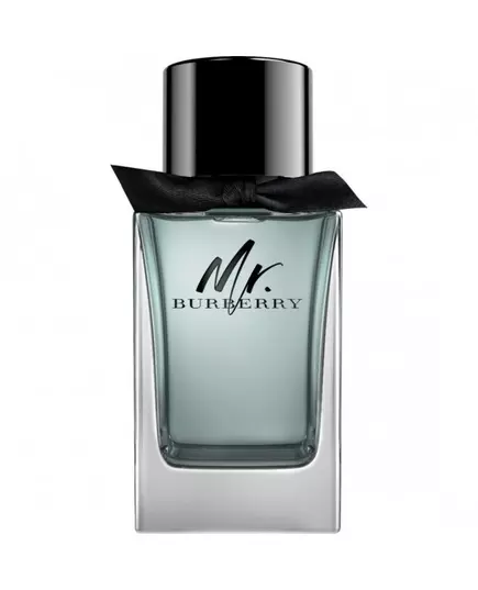 Burberry Mr. Burberry Eau de Toilette Pour hommes, 100 ml