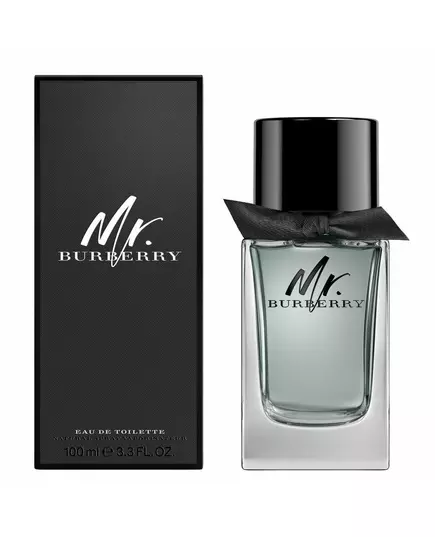 Burberry Mr. Burberry Eau de Toilette Pour hommes, 100 ml, image 6